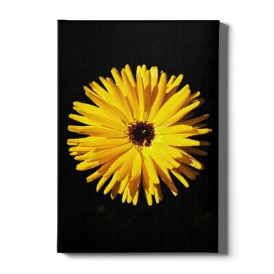 Walljar - Nahaufnahme Gelbe Blume - Leinwand / 60 x 90 cm