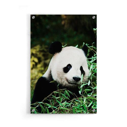 Walljar - Cute Panda - Plexiglas / 30 x 45 cm