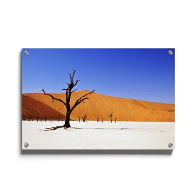 Walljar - Desert in Namibia - Plexiglass / 30 x 45 cm