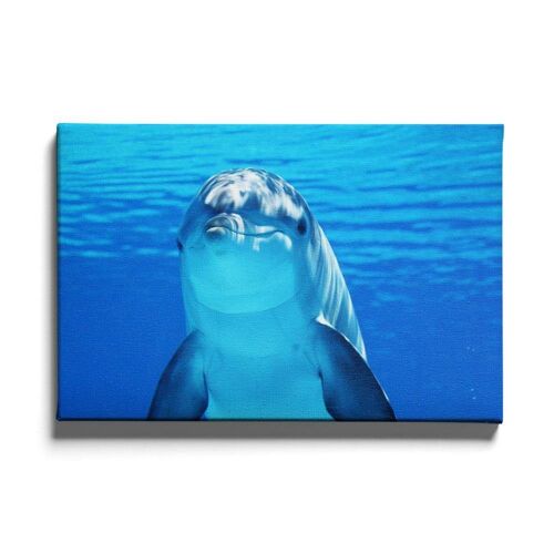 Walljar - Dolfijn - Canvas / 80 x 120 cm