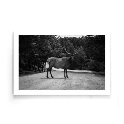 Walljar - Moose - Poster / 120 x 180 cm