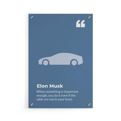 Pot mural - Elon Musk - Plexiglas / 60 x 90 cm