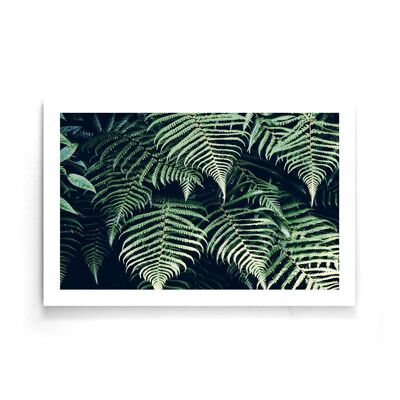 Walljar - Fern Leaves - Poster / 50 x 70 cm
