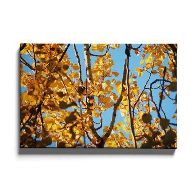 Walljar - Arbre Jaune - Toile / 60 x 90 cm