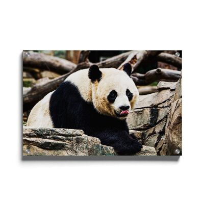 Pot Mural - Panda Géant - Plexiglas / 30 x 45 cm