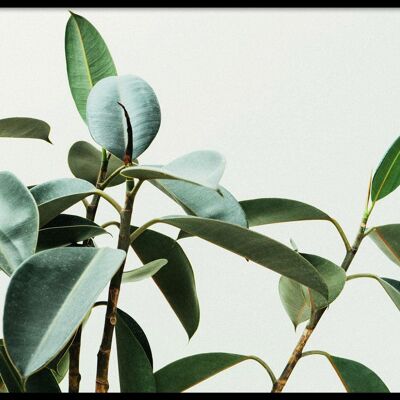 Walljar - Planta verde - Póster con marco / 50 x 70 cm