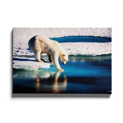 Walljar - Polar bear - Canvas / 80 x 120 cm