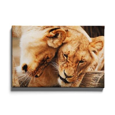 Walljar - Knuffelende Leeuwen - Canvas / 30 x 45 cm