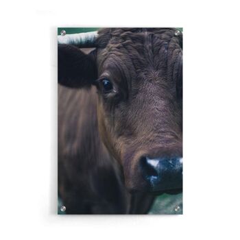 Walljar - Cow Up Close II - Plexiglas / 50 x 70 cm 1