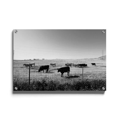 Walljar - Mucche nell'erba - Plexiglas / 150 x 225 cm