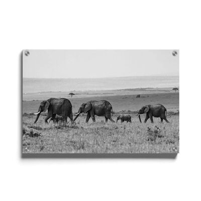 Walljar - Troupeau d'éléphants - Plexiglas / 40 x 60 cm