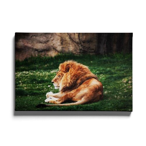 Walljar - Laying Lion - Canvas / 30 x 45 cm