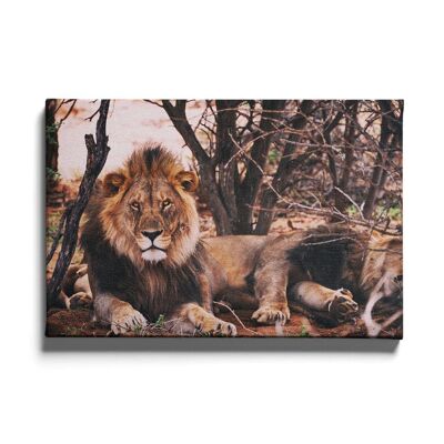 Pot mural - Lions - Toile / 80 x 120 cm
