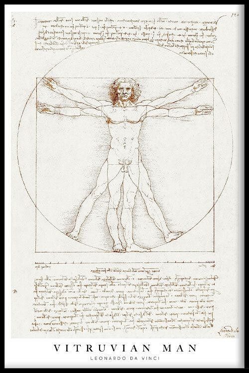 Walljar - Leonardo da Vinci - Vitruviusman - Poster met lijst / 40 x 60 cm