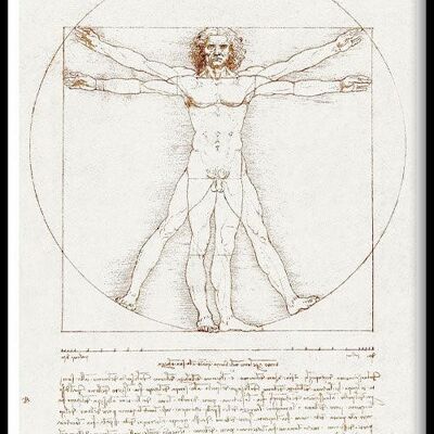 Walljar - Leonardo da Vinci - Vitruvianischer Mensch - Poster mit Rahmen / 40 x 60 cm