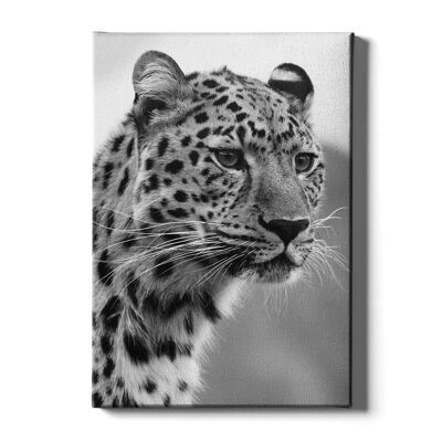 Walljar - Leopaard - Canvas / 30 x 45 cm