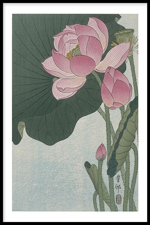 Walljar - Ohara Koson - Lotus Flower - Poster met lijst / 20 x 30 cm