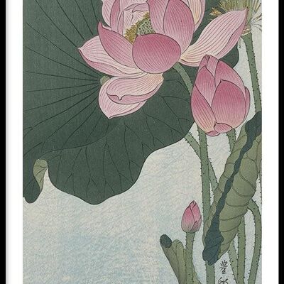 Walljar - Ohara Koson - Lotus Flower - Poster with frame / 20 x 30 cm