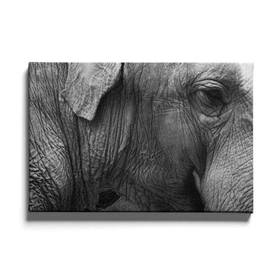 Walljar - Elephant II - Canvas / 60 x 90 cm