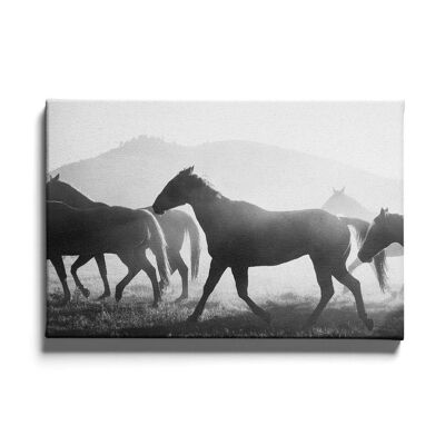 Walljar - Paarden - Canvas / 40 x 60 cm