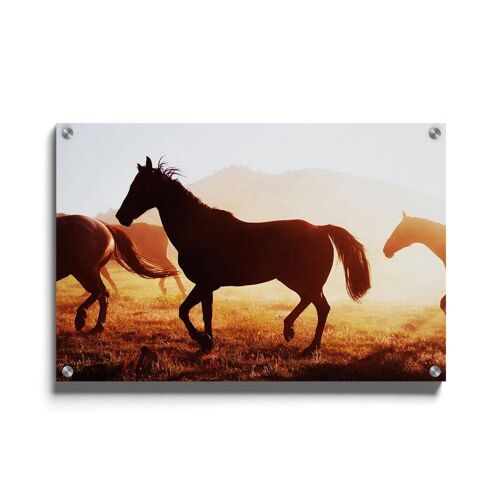 Walljar - Paarden In Wyoming - Plexiglas / 150 x 225 cm