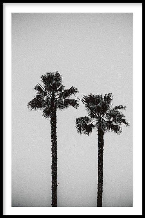 Walljar - Palm Trees - Poster met lijst / 50 x 70 cm