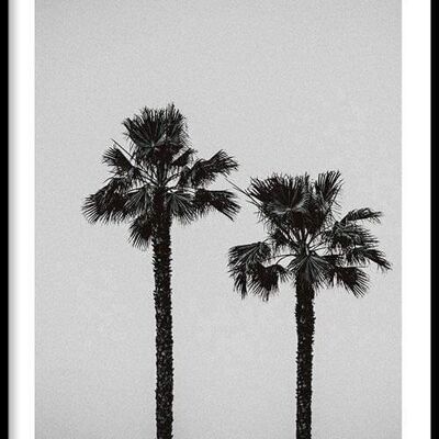 Walljar - Palm Trees - Poster with frame / 50 x 70 cm