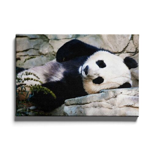 Walljar - Panda Laying Down - Canvas / 40 x 60 cm