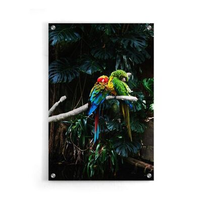 Walljar - Papageien - Plexiglas / 40 x 60 cm