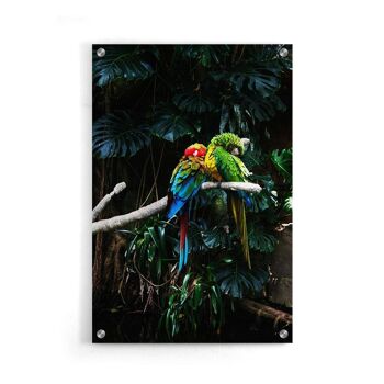 Walljar - Perroquets - Plexiglas / 40 x 60 cm 1