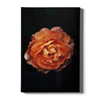 Walljar - Pfingstrose Orange - Leinwand / 60 x 90 cm