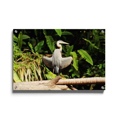 Walljar - Heron - Plexiglass / 40 x 60 cm