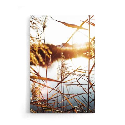 Walljar - Reed With Sunset - Poster / 50 x 70 cm