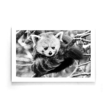 Walljar - Panda Rouge - Affiche / 120 x 180 cm 1