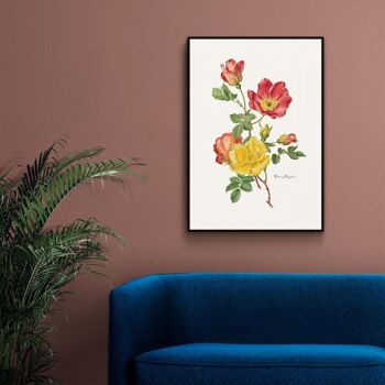 Walljar - Rosa Moyesii - Affiche avec cadre / 30 x 45 cm 3