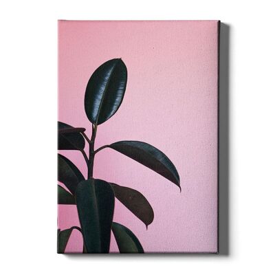 Walljar - Gummipflanze Rosa - Leinwand / 60 x 90 cm