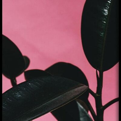 Walljar - Pianta della gomma rosa II - Poster con cornice / 50 x 70 cm
