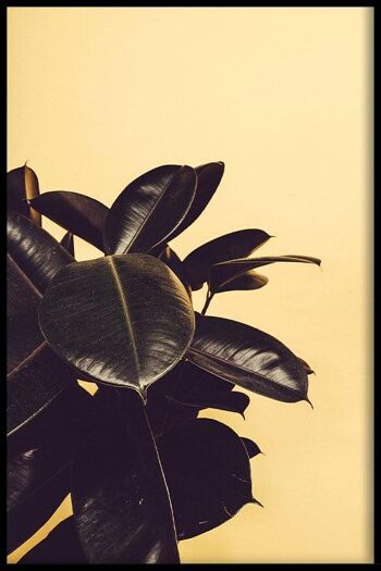 Walljar - Rubber Plant Yellow II - Affiche avec cadre / 50 x 70 cm 1