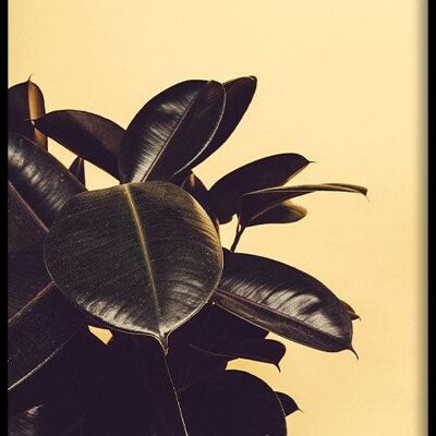 Walljar - Rubber Plant Yellow II - Poster with frame / 50 x 70 cm