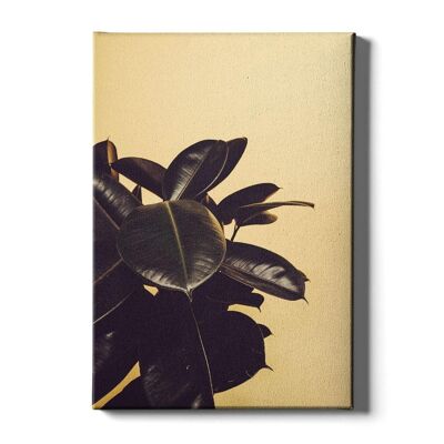 Walljar - Rubber Plant Yellow II - Canvas / 60 x 90 cm