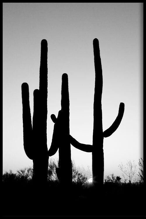 Walljar - Saguara Cactus - Poster met lijst / 40 x 60 cm