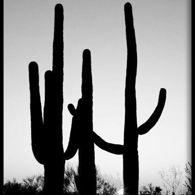 Walljar - Cactus Saguara - Affiche avec Cadre / 40 x 60 cm