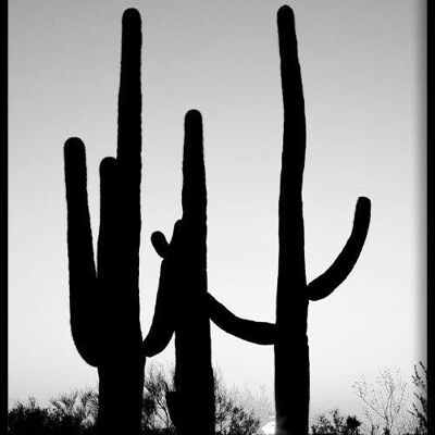 Walljar - Saguara Cactus - Poster with Frame / 40 x 60 cm