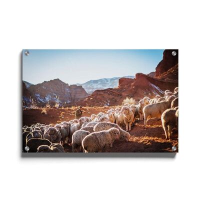 Walljar - Sheep Herd - Plexiglass / 50 x 70 cm