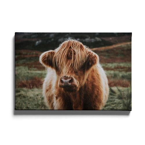 Walljar - Schotse Hooglander - Canvas / 80 x 120 cm