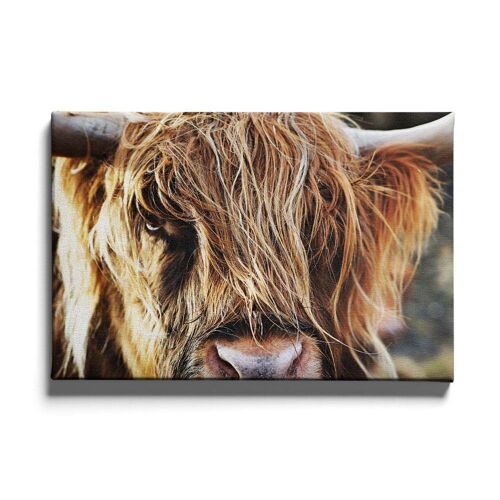 Walljar - Schotse Hooglander Up Close - Canvas / 30 x 45 cm