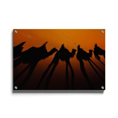 Walljar - Silhouet Van Kamelen - Plexiglas / 50 x 70 cm