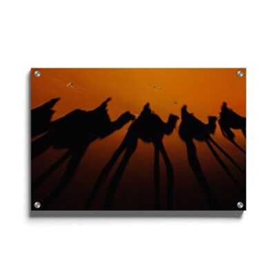 Walljar - Silueta de camellos - Plexiglás / 50 x 70 cm