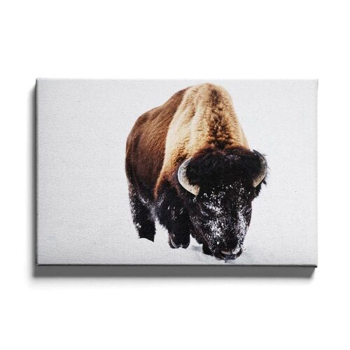 Walljar - Sneeuw Bizon - Canvas / 60 x 90 cm