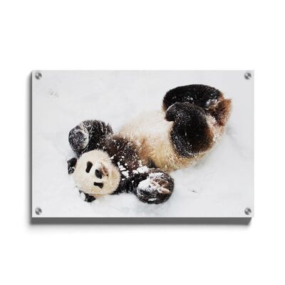 Walljar - Panda delle nevi - Plexiglass / 80 x 120 cm